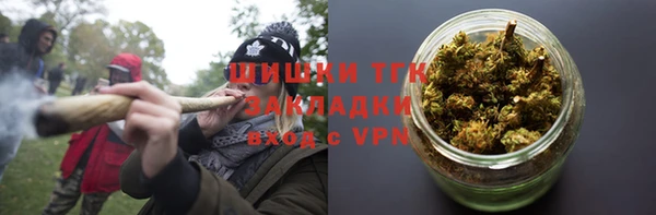 шишки Вяземский