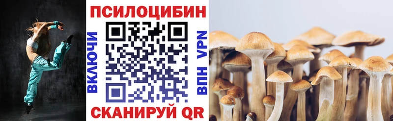 Псилоцибиновые грибы GOLDEN TEACHER  Жиздра 